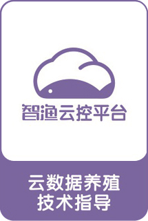 &#0;